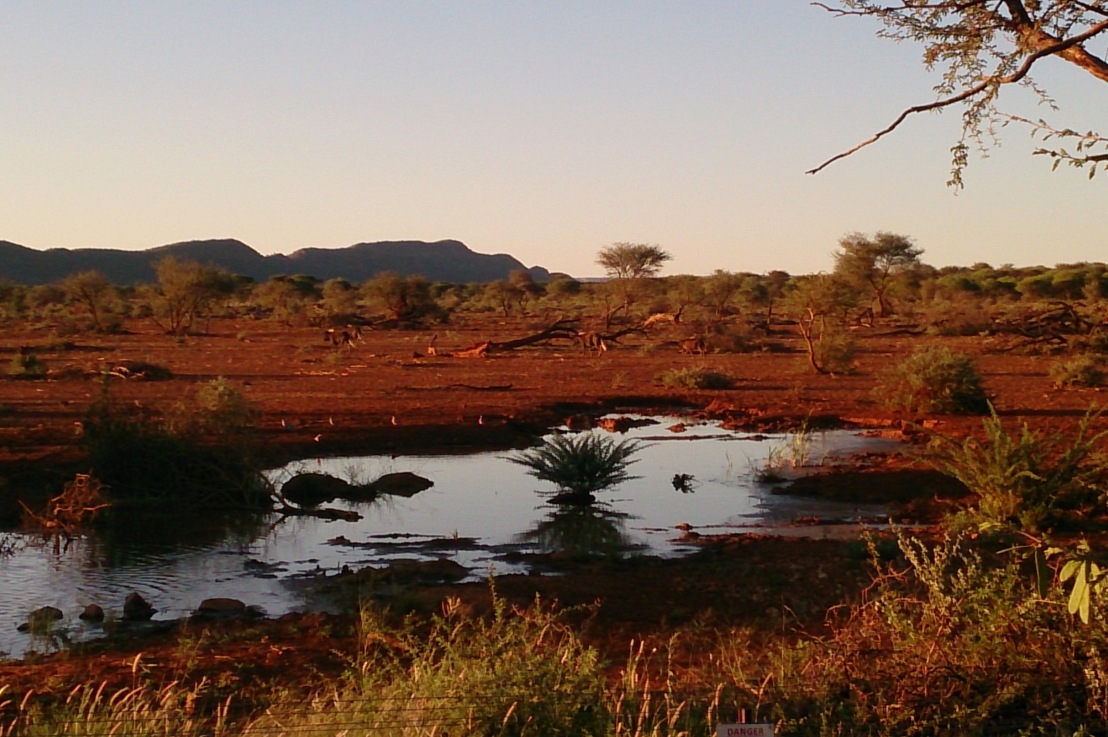 Farm, Erindi, Windhoek… Eindrücke der letzten Wochen